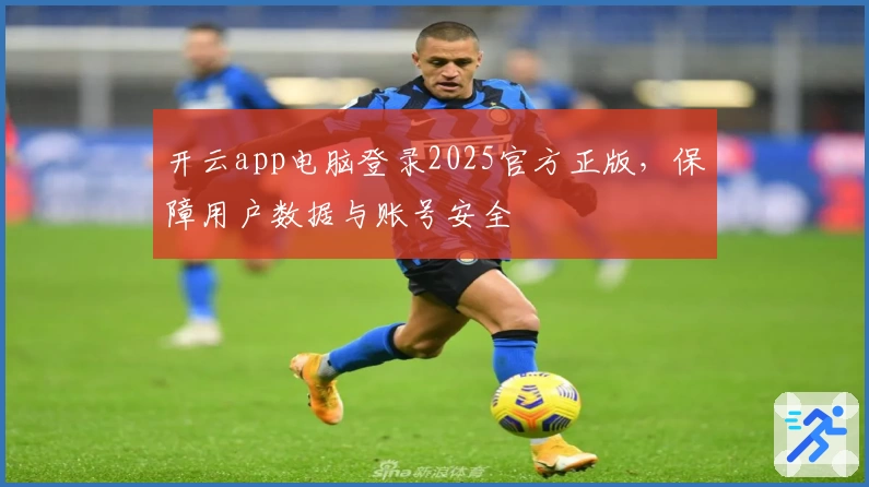 开云app电脑登录2025官方正版，保障用户数据与账号安全