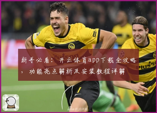 新手必看：开云体育app下载全攻略，功能亮点解析及安装教程详解