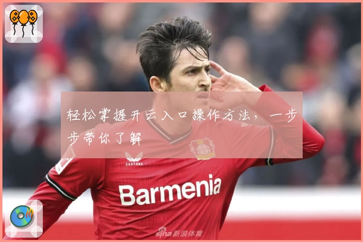 轻松掌握开云入口操作方法，一步步带你了解